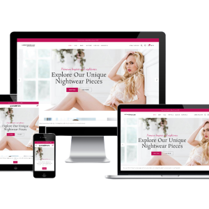 Ready Made Turnkey Lingerie Website Business for sale